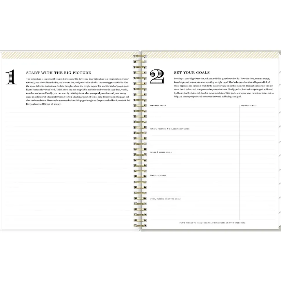 2025 Blue Sky Day Designer Tess 8.5" x 11" Weekly Planner, Plastic Cover, Tan/Off-White (148144)