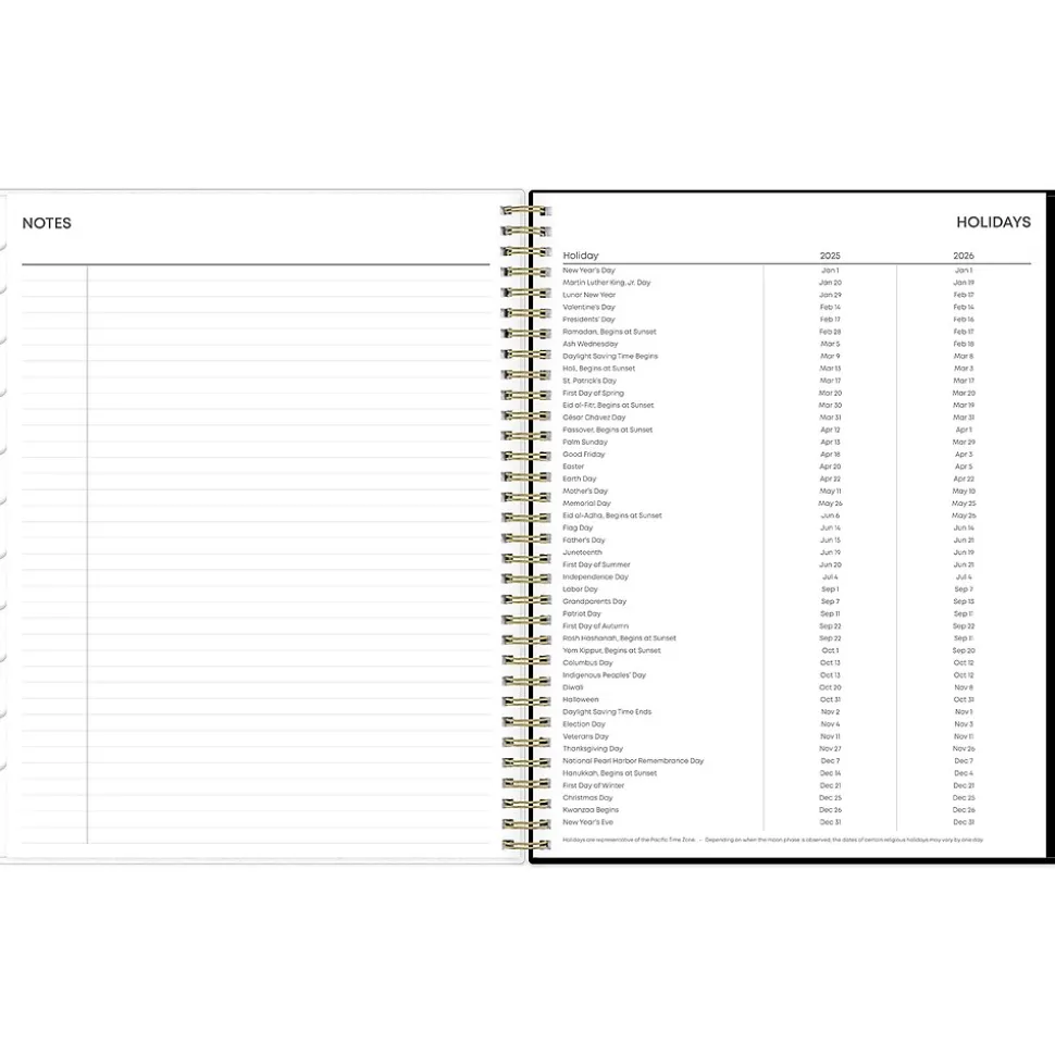 2025 Blue Sky Deelie 8.5" x 11" Weekly & Monthly Planner, Plastic Cover, White/Gray (152249)