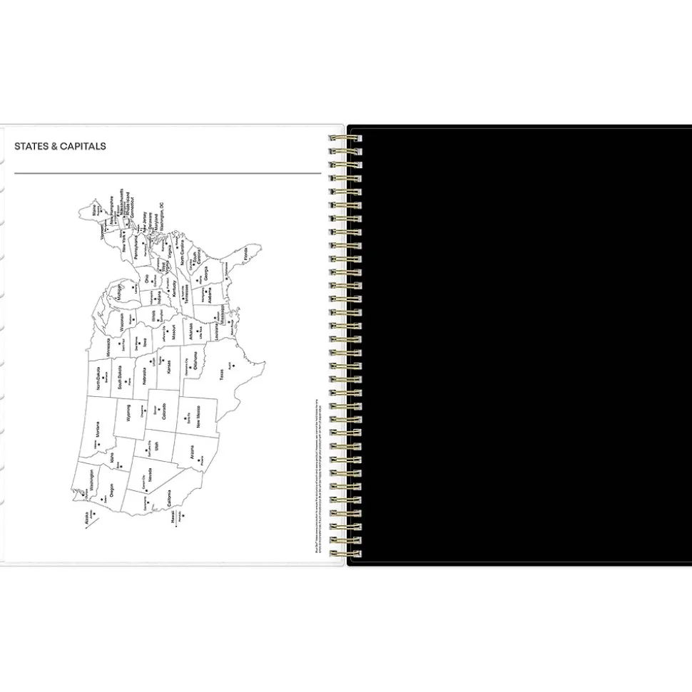 2025 Blue Sky Deelie 8.5" x 11" Weekly & Monthly Planner, Plastic Cover, White/Gray (152249)