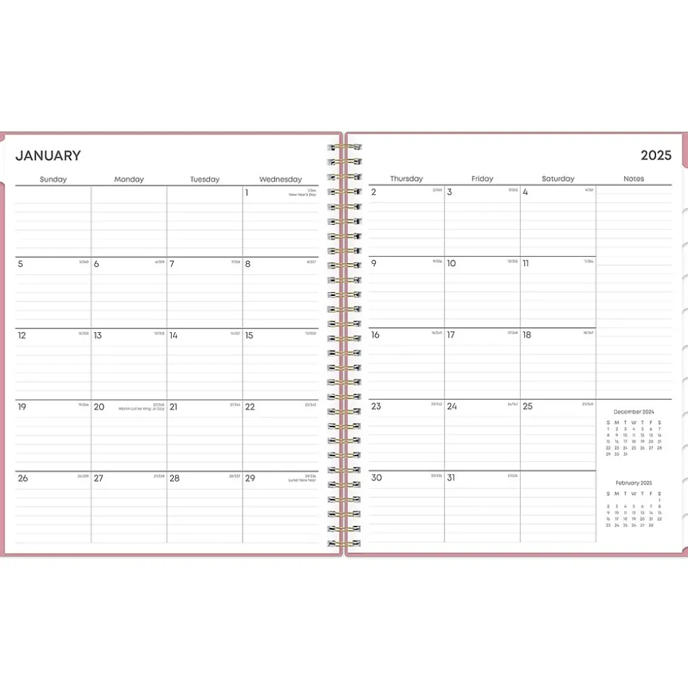 2025 Blue Sky Dusty Rose 8" x 10" Monthly Planner, Plastic Cover, Pink (148213)