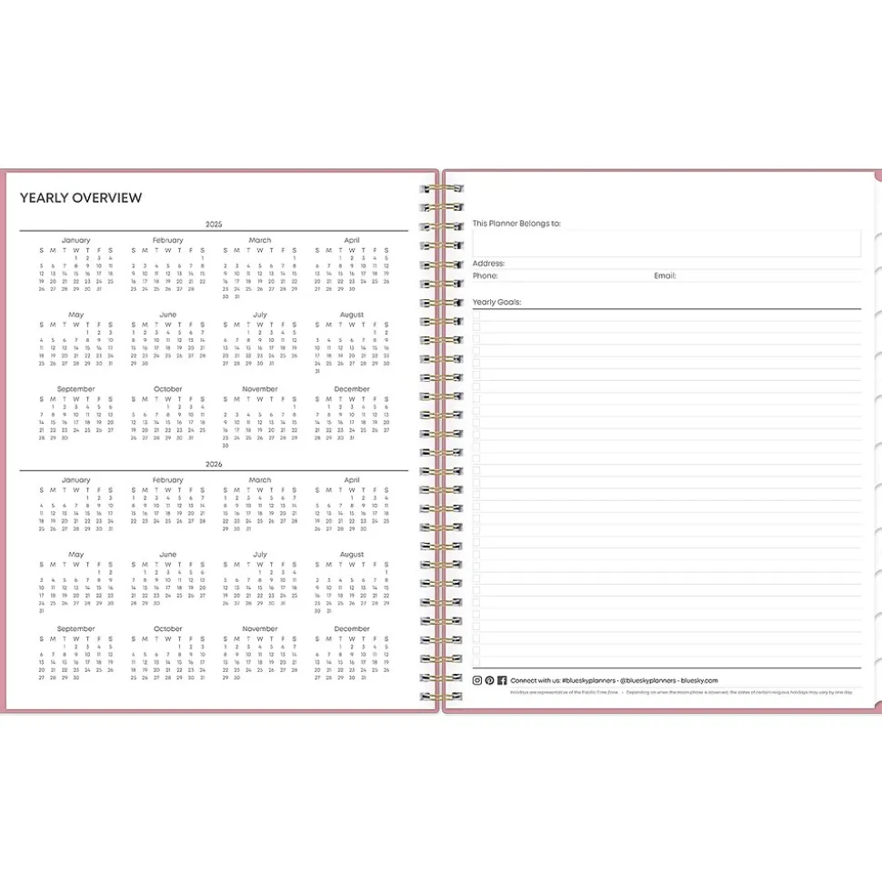 2025 Blue Sky Dusty Rose 8" x 10" Monthly Planner, Plastic Cover, Pink (148213)