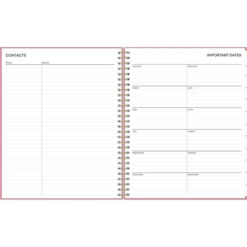 2025 Blue Sky Dusty Rose 8" x 10" Monthly Planner, Plastic Cover, Pink (148213)