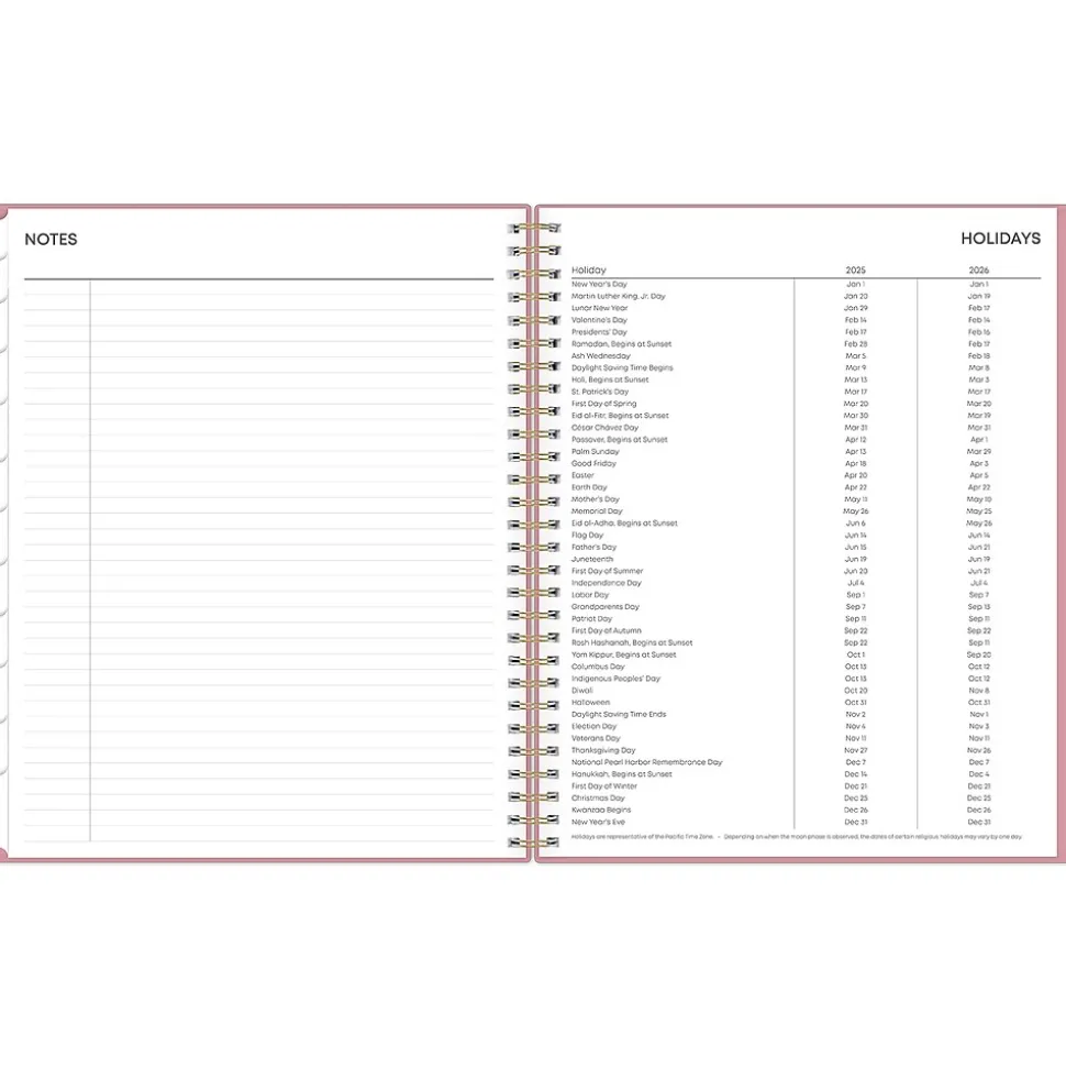 2025 Blue Sky Dusty Rose 8" x 10" Monthly Planner, Plastic Cover, Pink (148213)