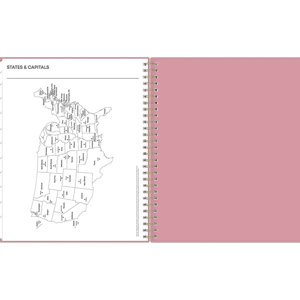 2025 Blue Sky Dusty Rose 8" x 10" Monthly Planner, Plastic Cover, Pink (148213)