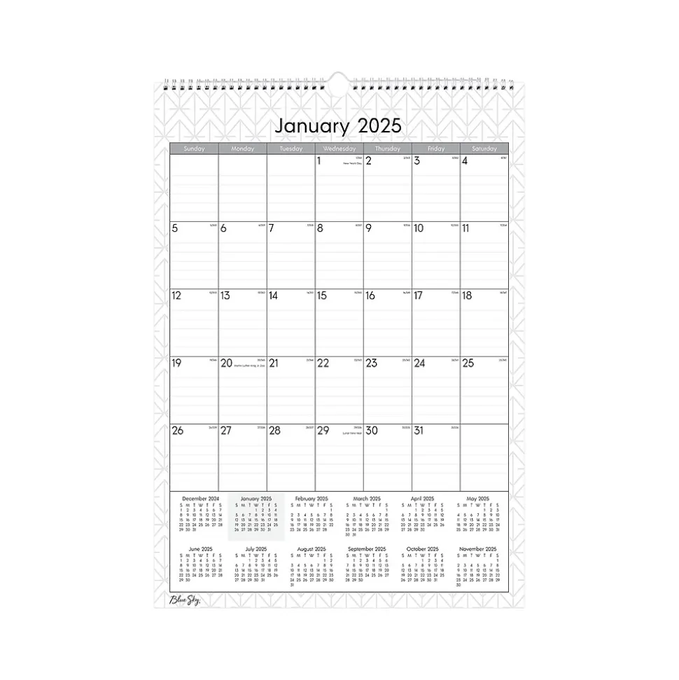 2025 Blue Sky Enterprise 12" x 17" Monthly Wall Calendar, White/Gray (117373-25)