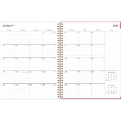 2025 Blue Sky Fly By 8.5