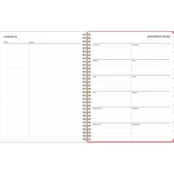 2025 Blue Sky Fly By 8.5