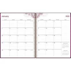 2025 Blue Sky Gili 8.5