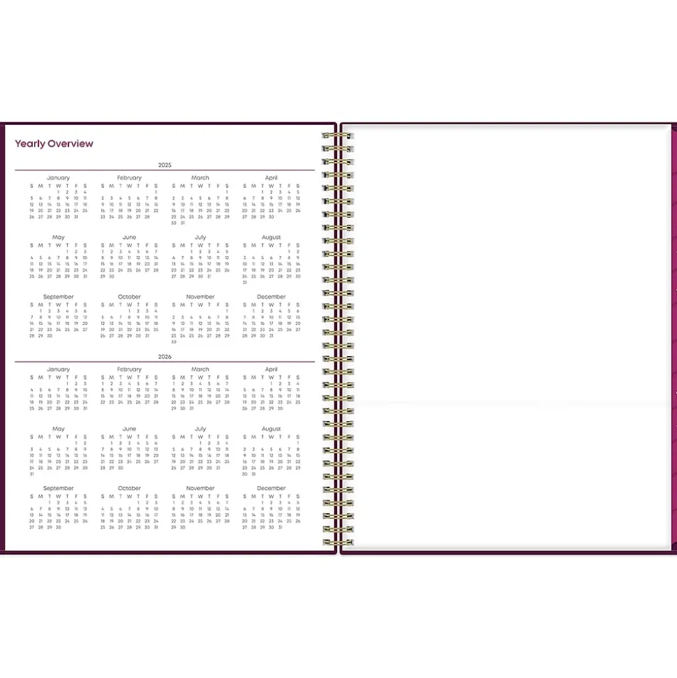 2025 Blue Sky Gili 8.5" x 11" Weekly & Monthly Planner, Plastic Cover, Burgundy/Beige (117889-25)