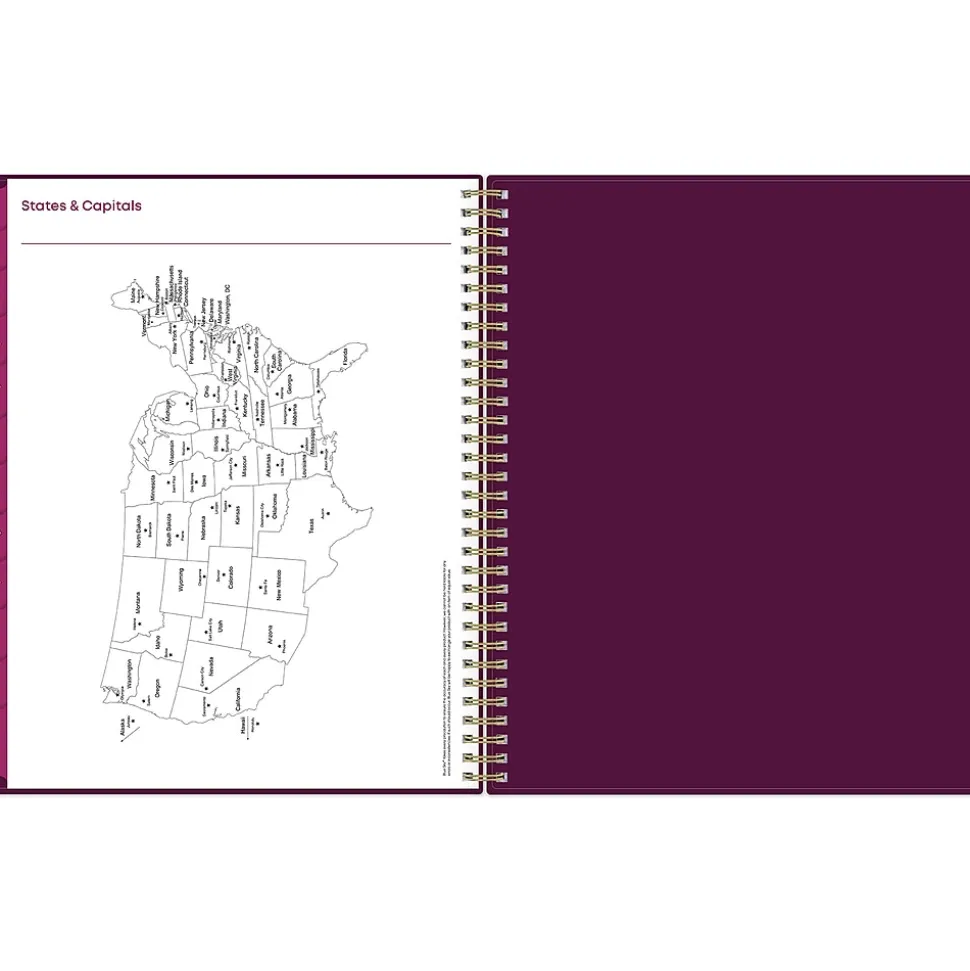 2025 Blue Sky Gili 8.5" x 11" Weekly & Monthly Planner, Plastic Cover, Burgundy/Beige (117889-25)