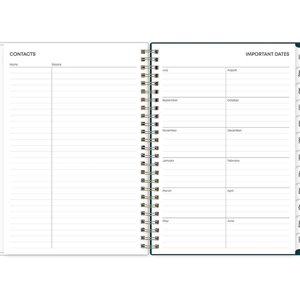 2024-2025 Blue Sky Greta 5.88" x 8.63" Academic Weekly & Monthly Planner, Plastic Cover, Multicolor (136482-A25)