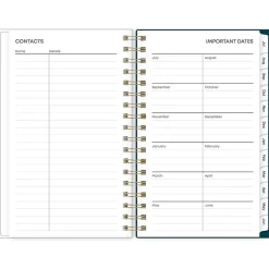 2024-2025 Blue Sky Greta 3.63