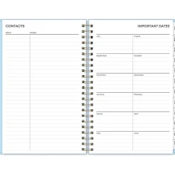 2024-2025 Blue Sky Jordy 5