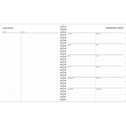 2025 Blue Sky Joselyn 8