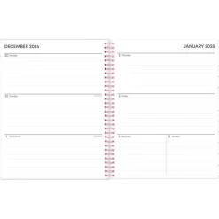 2025 Blue Sky Joselyn 8.5" x 11" Weekly & Monthly Planner, Plastic Cover, Multicolor (110394-25)