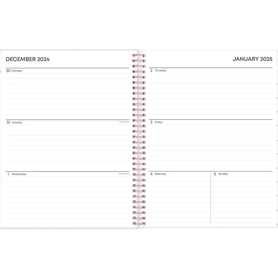 2025 Blue Sky Joselyn 8.5" x 11" Weekly & Monthly Planner, Plastic Cover, Multicolor (110394-25)