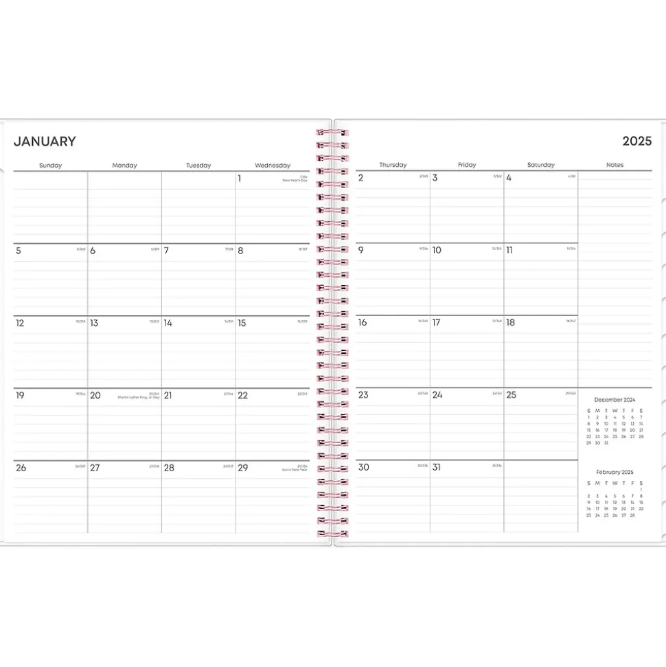 2025 Blue Sky Joselyn 8.5" x 11" Weekly & Monthly Planner, Plastic Cover, Multicolor (110394-25)