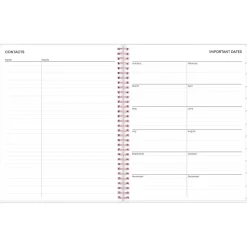 2025 Blue Sky Joselyn 8.5