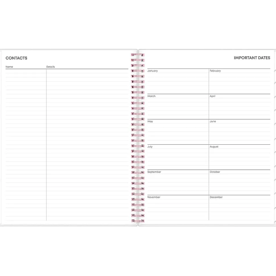 2025 Blue Sky Joselyn 8.5" x 11" Weekly & Monthly Planner, Plastic Cover, Multicolor (110394-25)