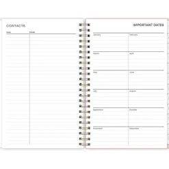 2025 Blue Sky Julissa 8.5