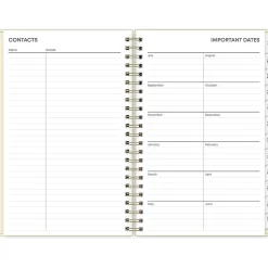 2024-2025 Blue Sky Junie 5