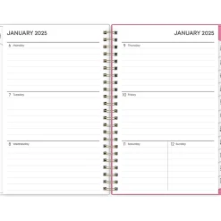 2025 Blue Sky Juno Pink 5" x 8" Weekly & Monthly Planner, Plastic Cover, Multicolor (152265)