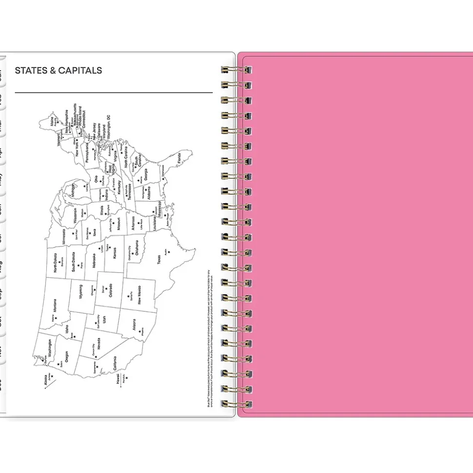 2025 Blue Sky Juno Pink 5" x 8" Weekly & Monthly Planner, Plastic Cover, Multicolor (152265)