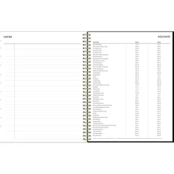 2025 Blue Sky Katya 8.5