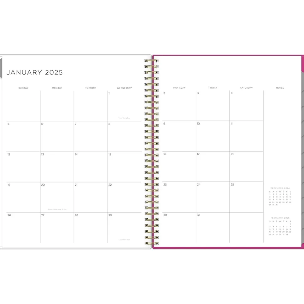 2025 Blue Sky Kelly Ventura Magenta Blooms 8.5" x 11" Weekly & Monthly Planner, Plastic Cover, Multicolor (140945-25)