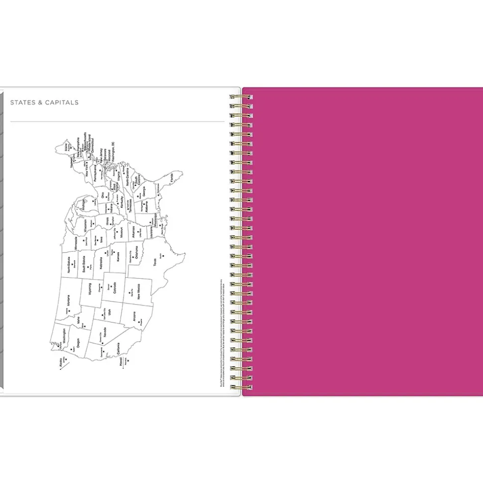 2025 Blue Sky Kelly Ventura Magenta Blooms 8.5" x 11" Weekly & Monthly Planner, Plastic Cover, Multicolor (140945-25)
