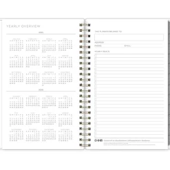 2025 Blue Sky Kelly Ventura Mimosa 5