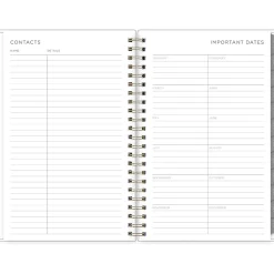 2025 Blue Sky Kelly Ventura Mimosa 5