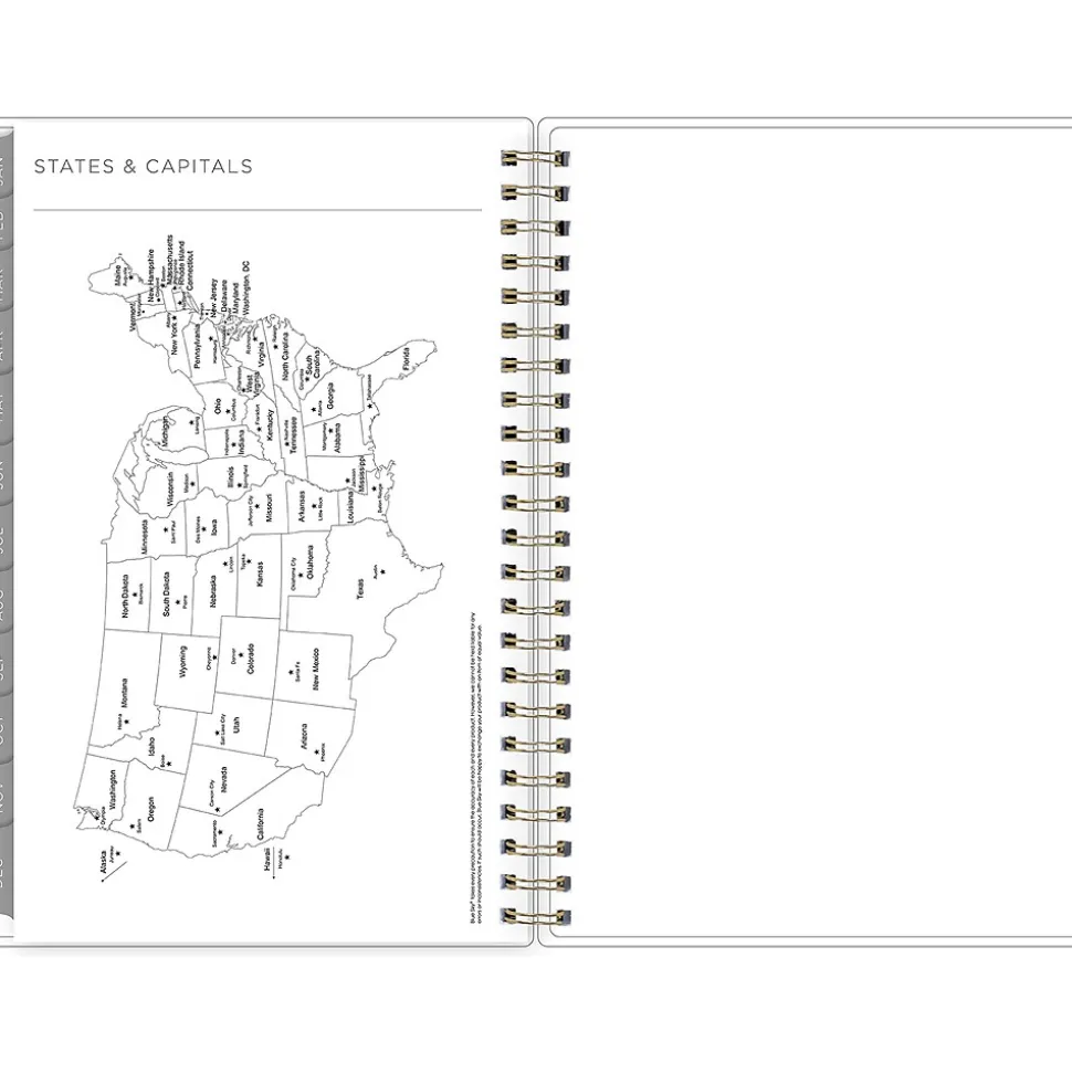 2025 Blue Sky Kelly Ventura Mimosa 5" x 8" Weekly & Monthly Planner, Plastic Cover, Yellow/White (149061-25)