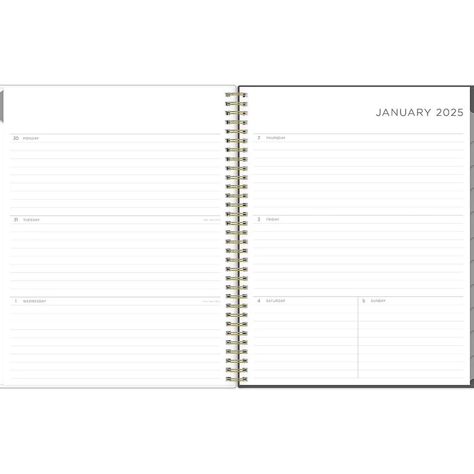 2025 Blue Sky Kelly Ventura Midnight Garden 8.5" x 11" Weekly & Monthly Planner, Plastic Cover, Multicolor (140944-25)