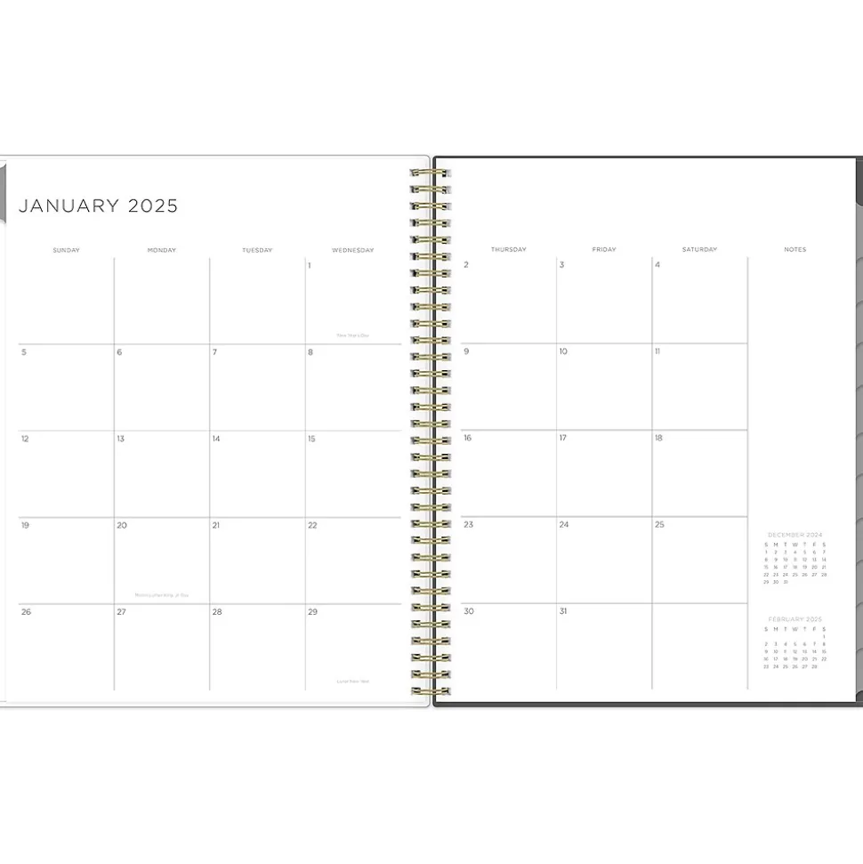 2025 Blue Sky Kelly Ventura Midnight Garden 8.5" x 11" Weekly & Monthly Planner, Plastic Cover, Multicolor (140944-25)