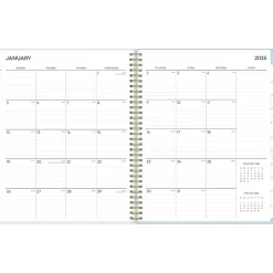 2025 Blue Sky Kiera Blue 8.5