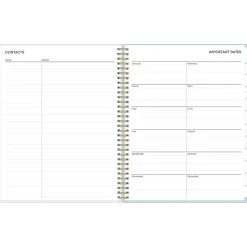 2025 Blue Sky Kiera Blue 8.5