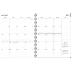 2025 Blue Sky Laila 8.5