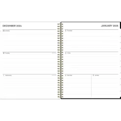 2025 Blue Sky Lolani 8.5" x 11" Weekly & Monthly Planner, Plastic Cover, Green/Gray (147968)