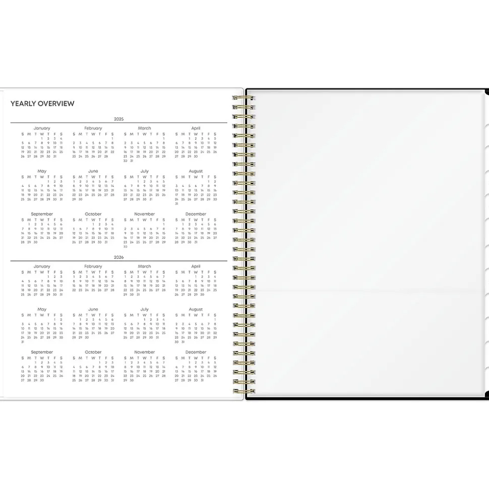 2025 Blue Sky Lolani 8.5" x 11" Weekly & Monthly Planner, Plastic Cover, Green/Gray (147968)