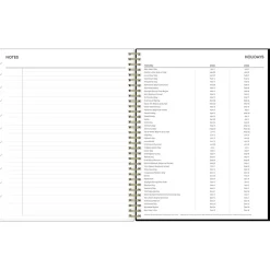 2025 Blue Sky Lolani 8.5