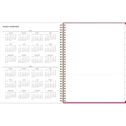 2024-2025 Blue Sky Mahalo 8.5