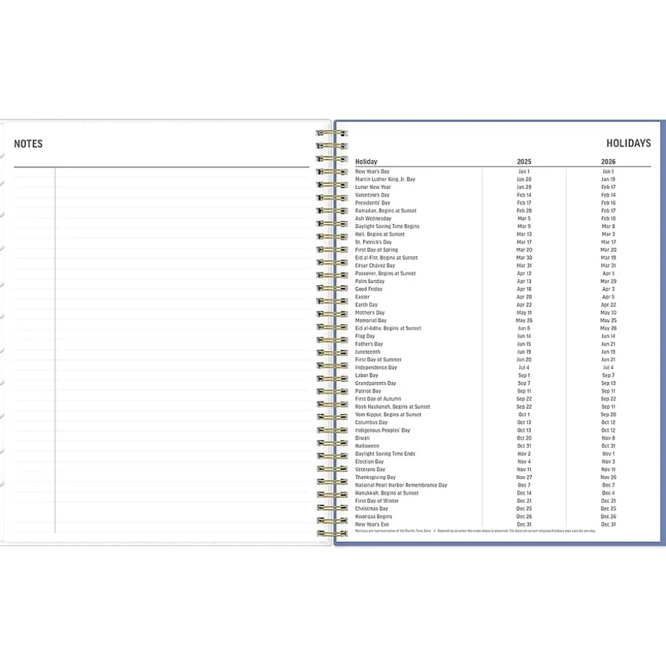 2025 Blue Sky Nalakina 8.5" x 11" Weekly & Monthly Planner, Plastic Cover, Blue/Green (149081)
