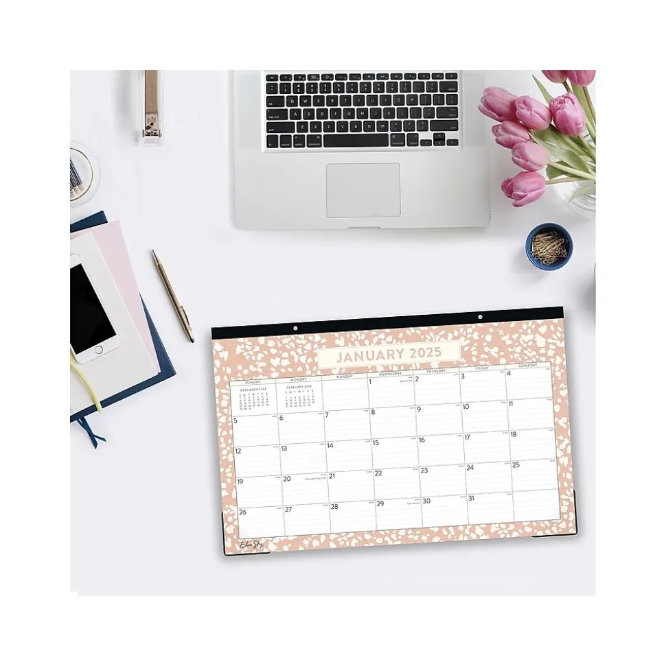 2025 Blue Sky Natalya 17" x 11" Monthly Desk Pad Calendar, Pink/White (148771-25)