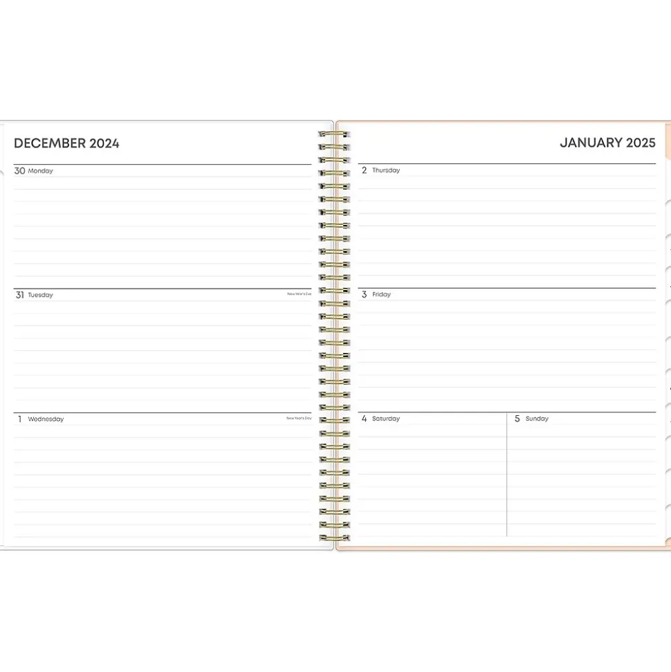 2025 Blue Sky Natalya 8.5" x 11" Weekly & Monthly Planner, Plastic Cover, Pink/White (148764-25)