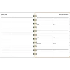 2025 Blue Sky Natalya 8.5