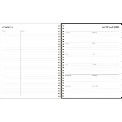 2025 Blue Sky Nevaeh 8