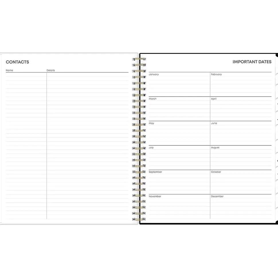 2025 Blue Sky Nevaeh 8" x 10" Monthly Planner, Plastic Cover, Multicolor (143947-25)