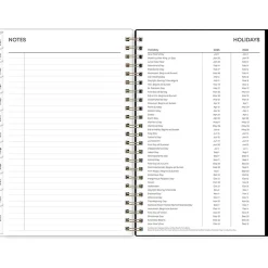 2025 Blue Sky Nevaeh 5
