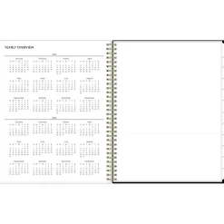 2025 Blue Sky Nevaeh 8.5